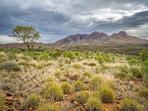 Mount Sonder, Larapinta Trail, Northern Territory