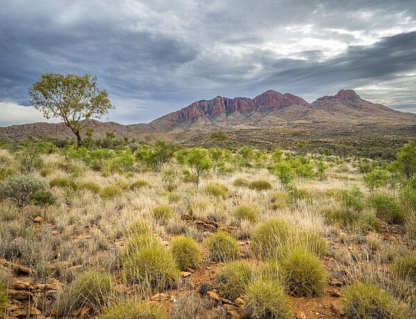 Mount Sonder, Larapinta Trail, Northern Territory