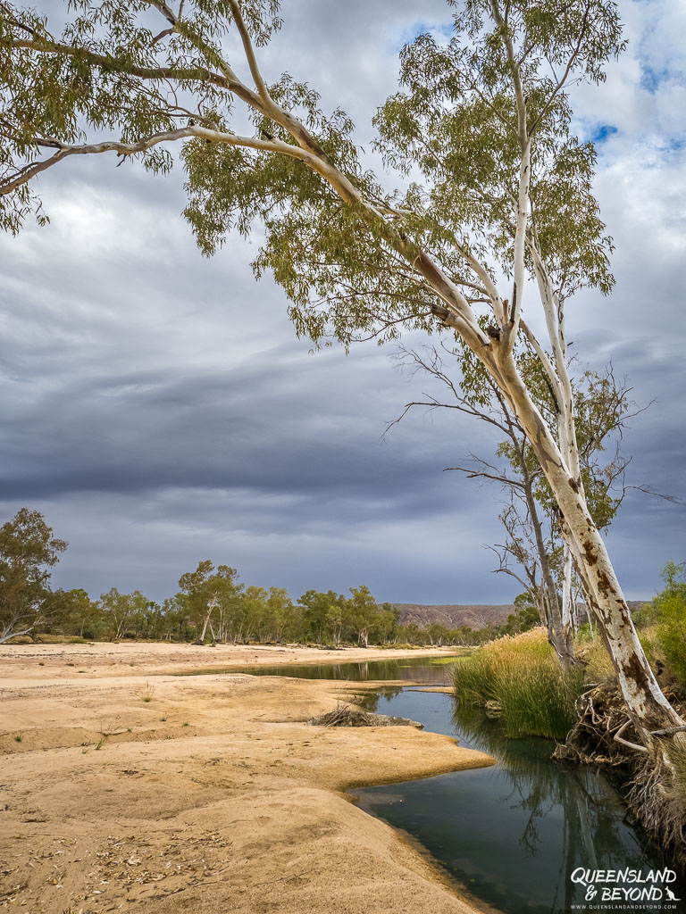 Finke River, Larapinta Trail