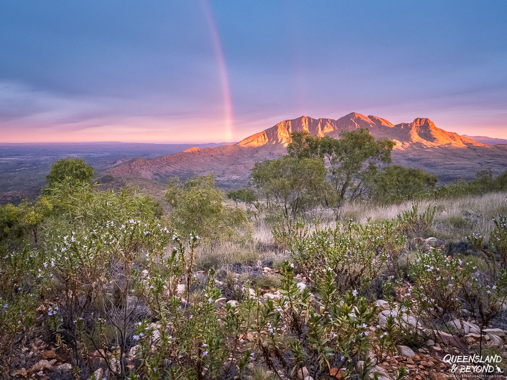 Hilltop Lookout, Larapinta Trail, Section 11