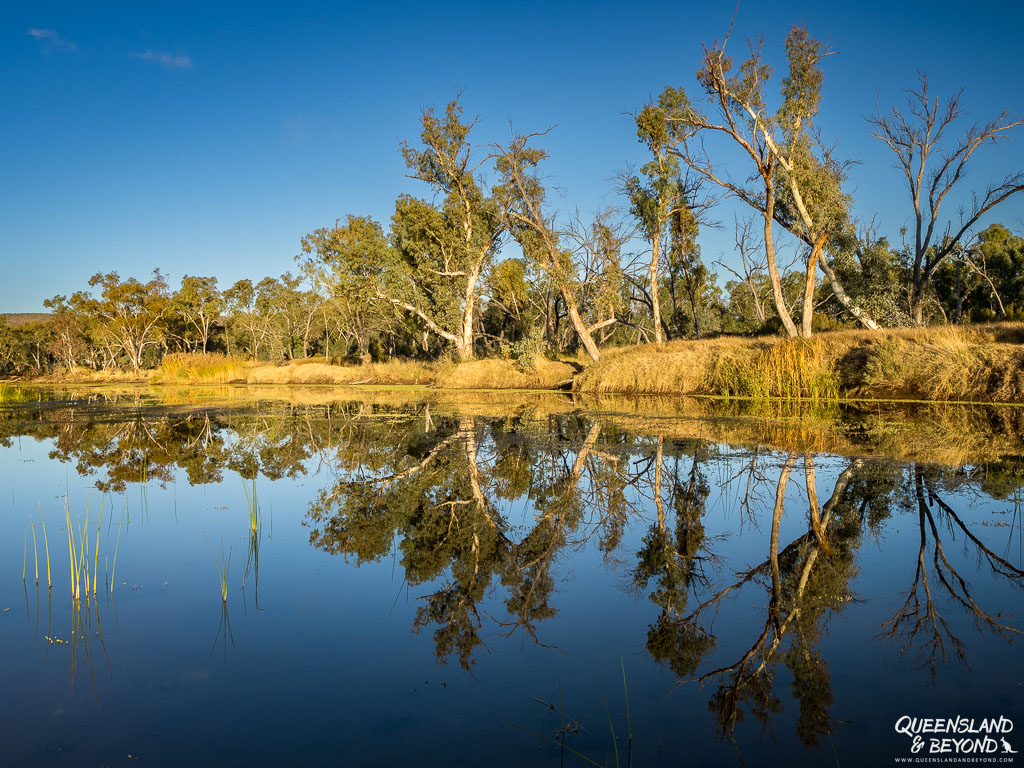 Morning light at Finke River, Larapinta Trail, Section 10