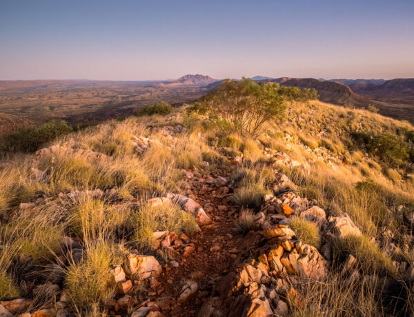 Rocky hiking trail on the Larapinta Trail near Mount Giles Lookout at sunrise, with Mount Sonder visible in the distance under a pink and orange sky.