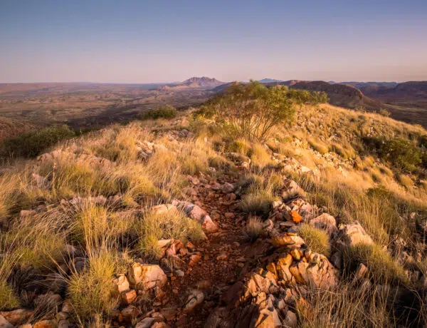 Rocky hiking trail on the Larapinta Trail near Mount Giles Lookout at sunrise, with Mount Sonder visible in the distance under a pink and orange sky.