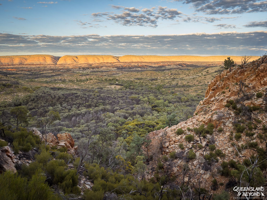 Morning view of the MacDonnell Ranges from Lomandra Gully