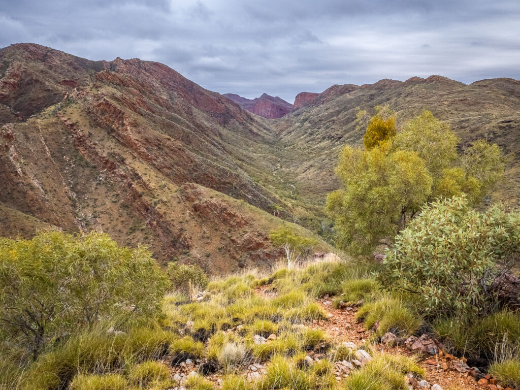 Scenic view of the rocky hiking track along Razorback Ridge looking back towards the red rock walls of Hugh Gorge on the Larapinta Trail, Northern Territory.