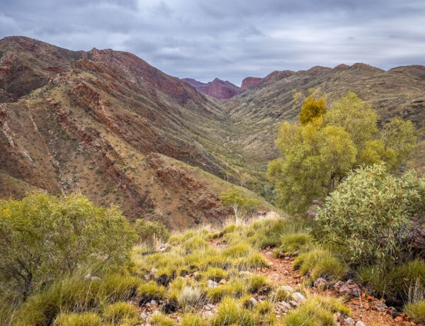 Scenic view of the rocky hiking track along Razorback Ridge looking back towards the red rock walls of Hugh Gorge on the Larapinta Trail, Northern Territory.