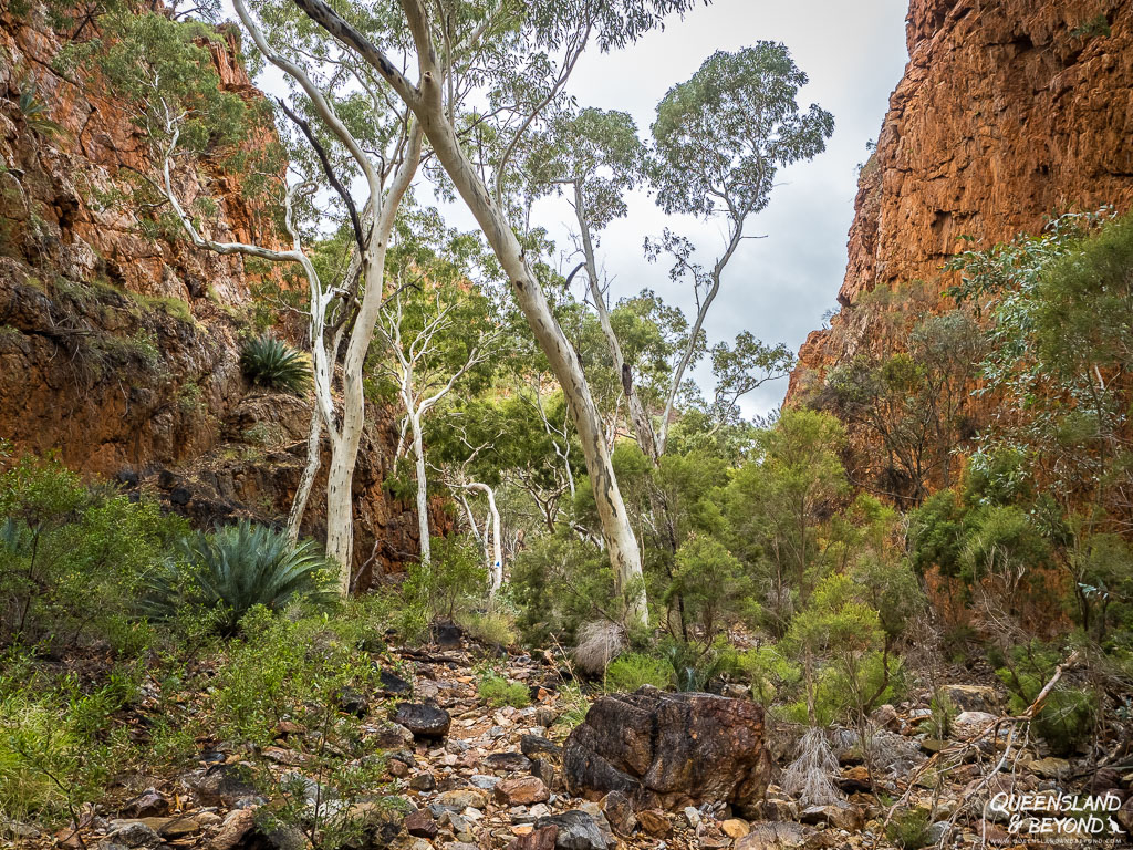 Larapinta Trail, Section 5