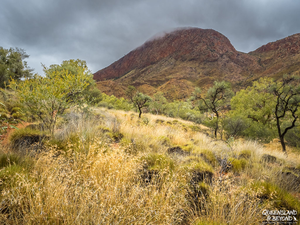 Larapinta Trail, Section 4