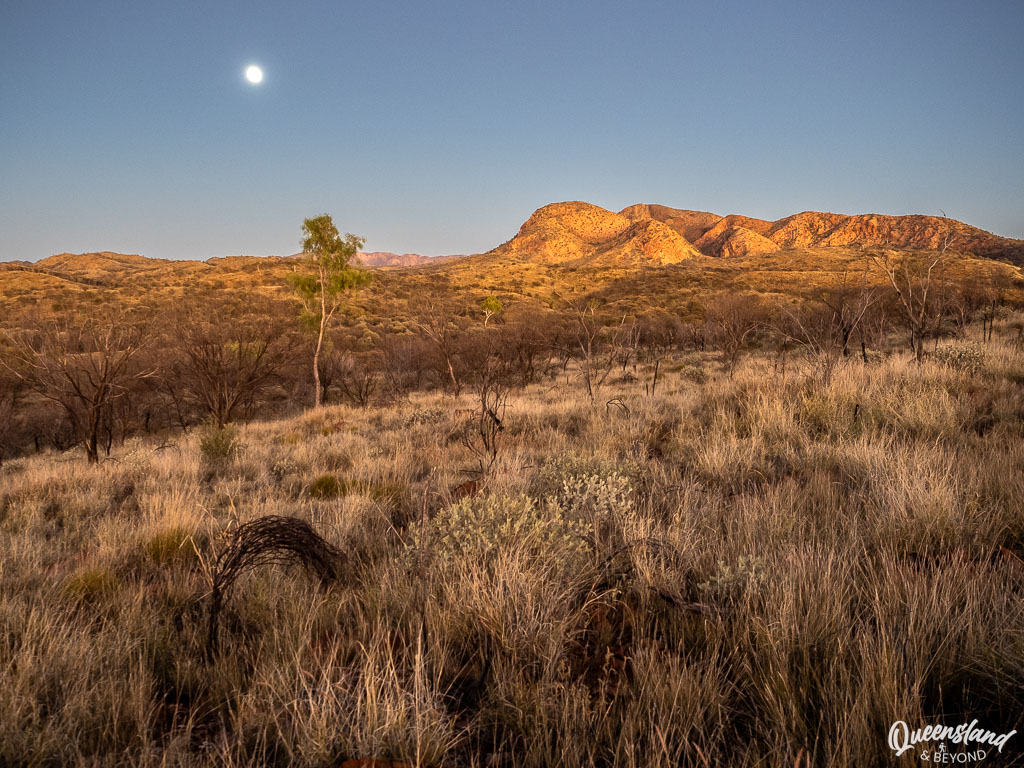 A quiet twilight landscape on the Larapinta Trail with a pale moon in a clear sky above the rolling, grass-covered hills and red-hued ridges of the West MacDonnell Ranges.