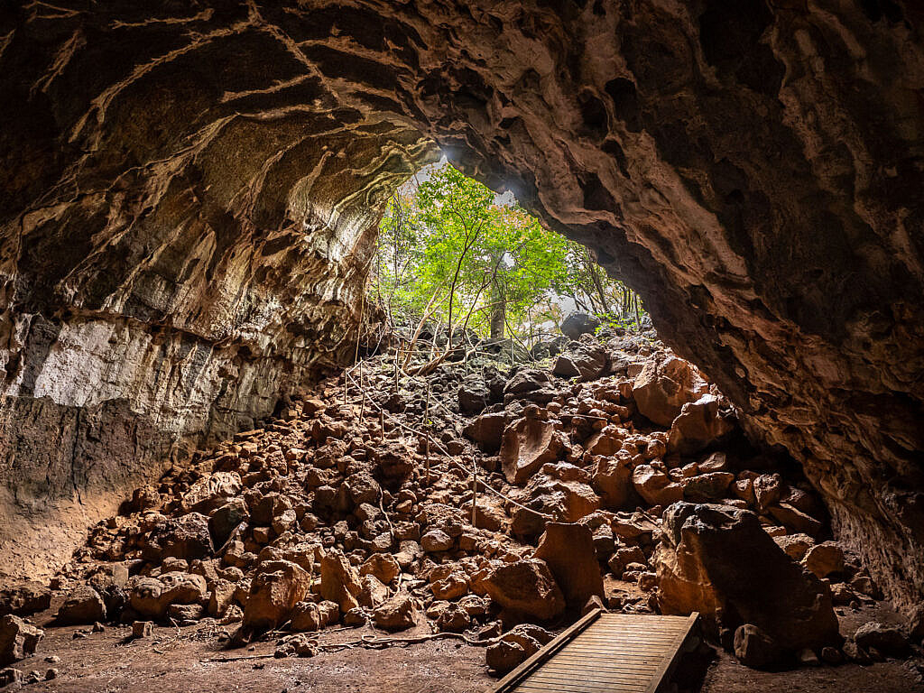 Lava tubes at Undara Volcanic NP