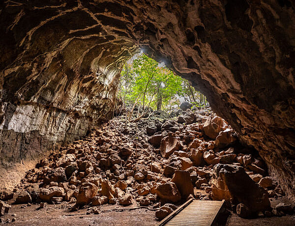 Lava tubes at Undara Volcanic NP