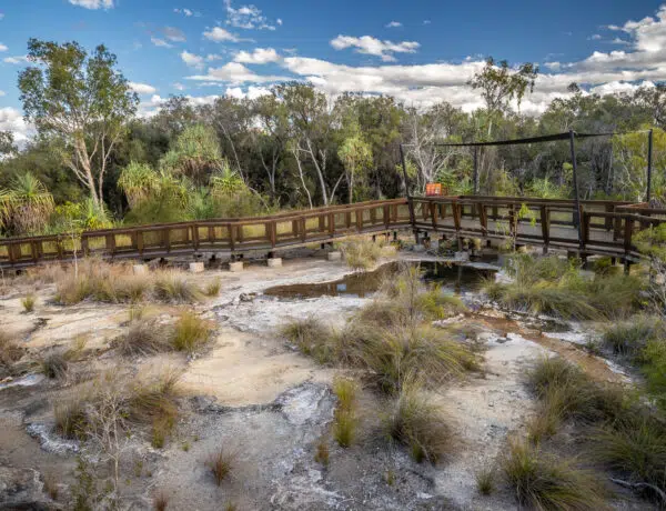 Raised timber boardwalk winding over pale mineral terraces and natural geothermal pools at Talaroo Hot Springs in Outback Queensland.