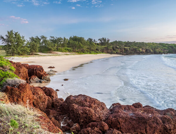 Wide-angle landscape view of Macassan Beach in East Arnhem Land at sunrise, showing distinctive red rocky cliffs and green coastal scrub in the foreground overlooking a deserted sandy beach and gentle ocean waves under a soft pink and blue sky.