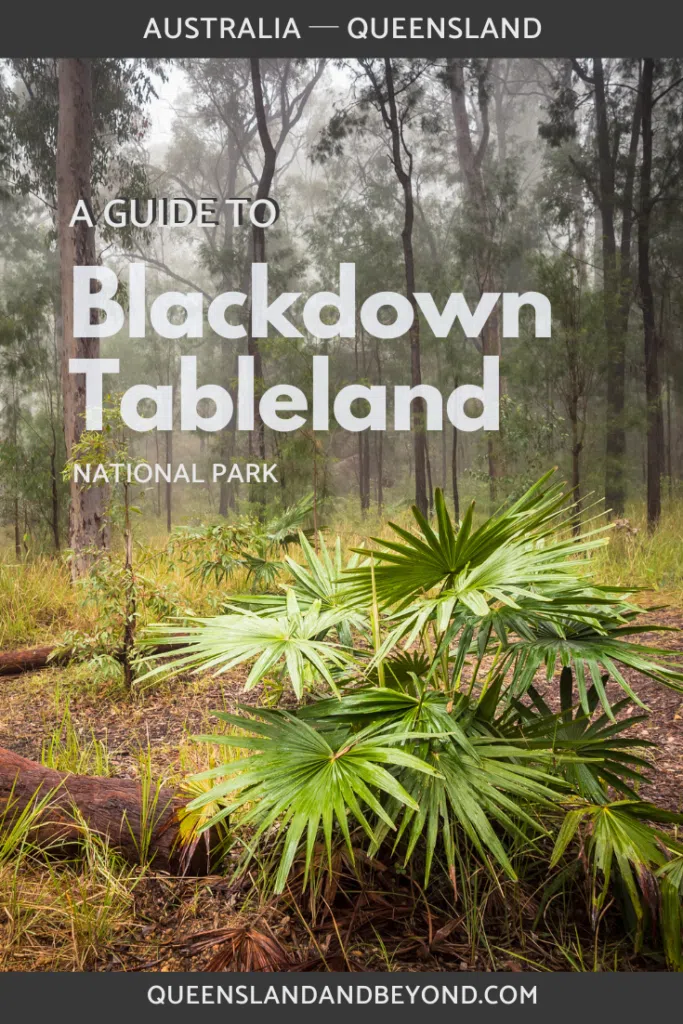 Blackdown Tableland National Park in Central Queensland is a gorgeous little gem of rainforest gullies, rock pools and indigenous rock art. Find out more in my quick guide to Blackdown Tableland.