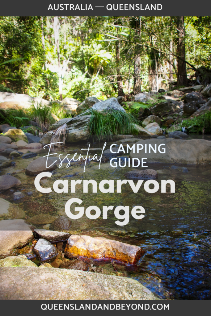 There are a few options for camping at Carnarvon Gorge in Central Queensland. It can be a bit confusing on what's the best option so here's my quick guide.