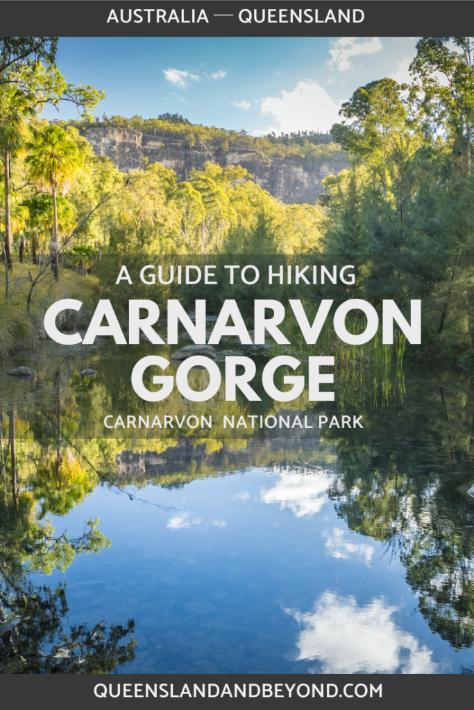 Carnarvon Gorge in Central Queensland is a spectacular sandstone gorge and an amazing hiking destination. It's perfect for an easy overnight hike or a couple of days trekking in and out, exploring the trails and sights in this part of Carnarvon National Park.