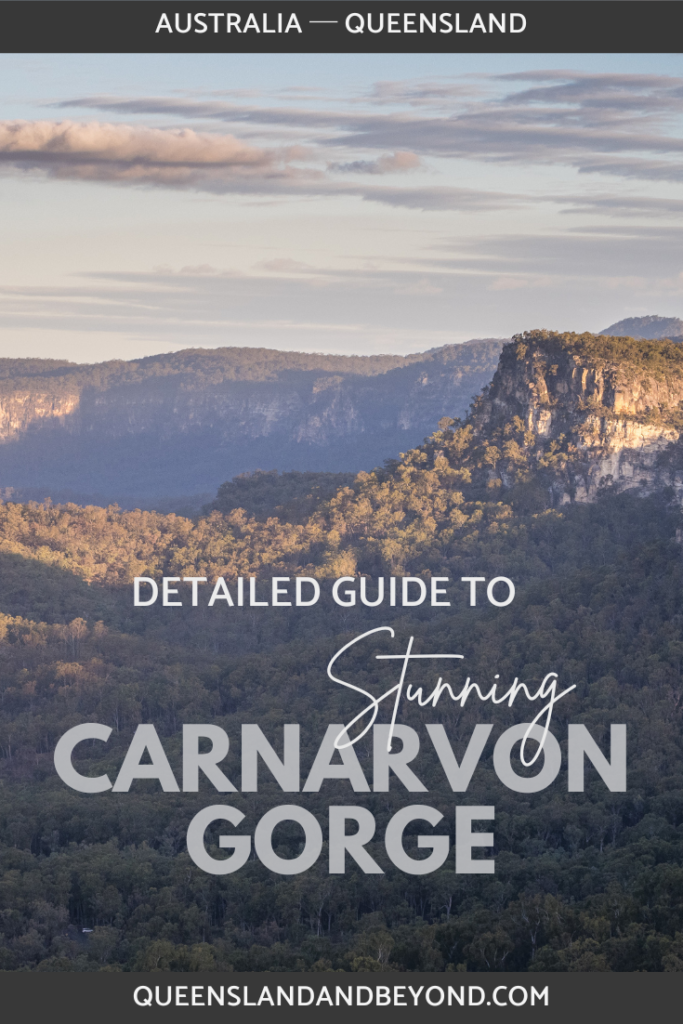 Carnarvon Gorge in Central Queensland is a spectacular sandstone gorge and an amazing hiking destination. It's perfect for an easy overnight hike or a couple of days trekking in and out, exploring the trails and sights in this part of Carnarvon National Park.