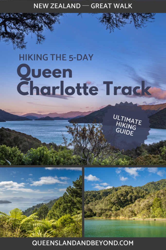 The Queen Charlotte Track in the Marlborough Sounds, New Zealand, is a beautiful 5-day hike. Here's my detailed guide to plan your adventure.