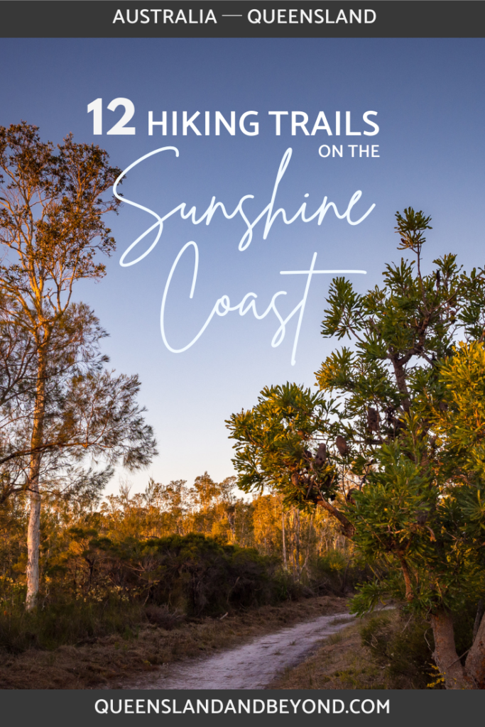 Keen to do some hiking on the Sunshine Coast? Here's my list of favourite half and full-day hikes on the Sunshine Coast, everything from 5km to 35km!