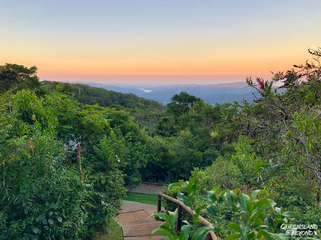 Views from Binna Burra Rainforest Campground