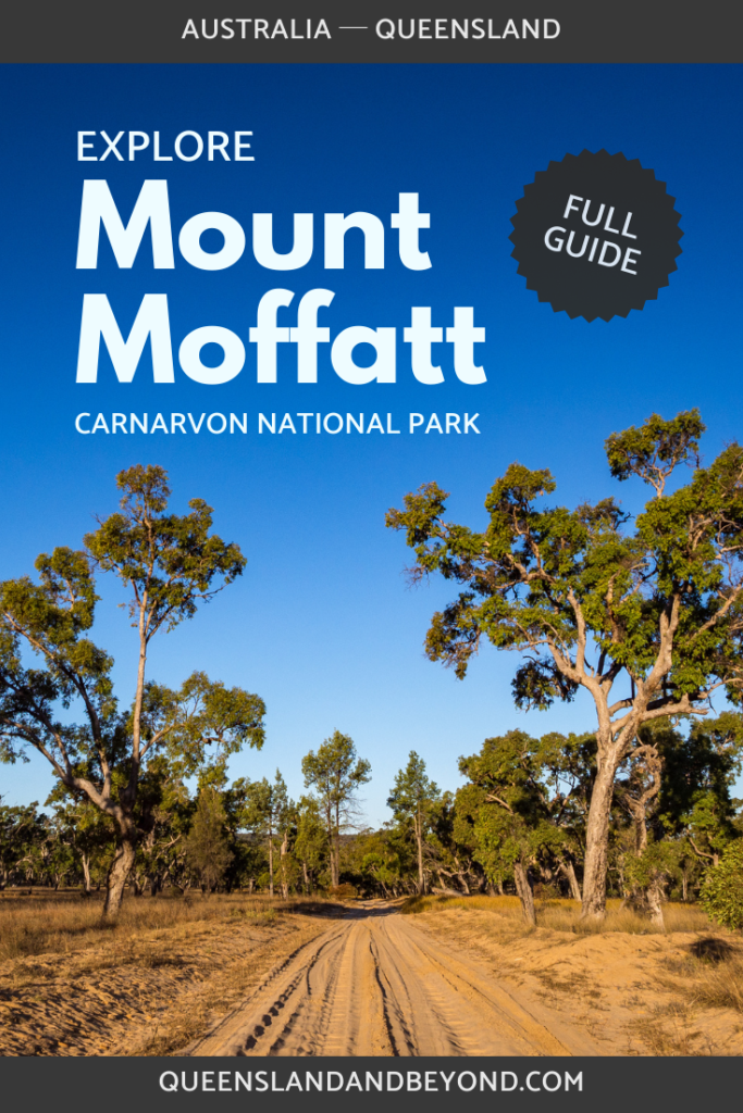 Mount Moffatt is part of stunning Carnarvon National Park in the Queensland Outback and absolutely worth a trip. Here's my guide for a 4WD road trip, camping spots, walks and more.