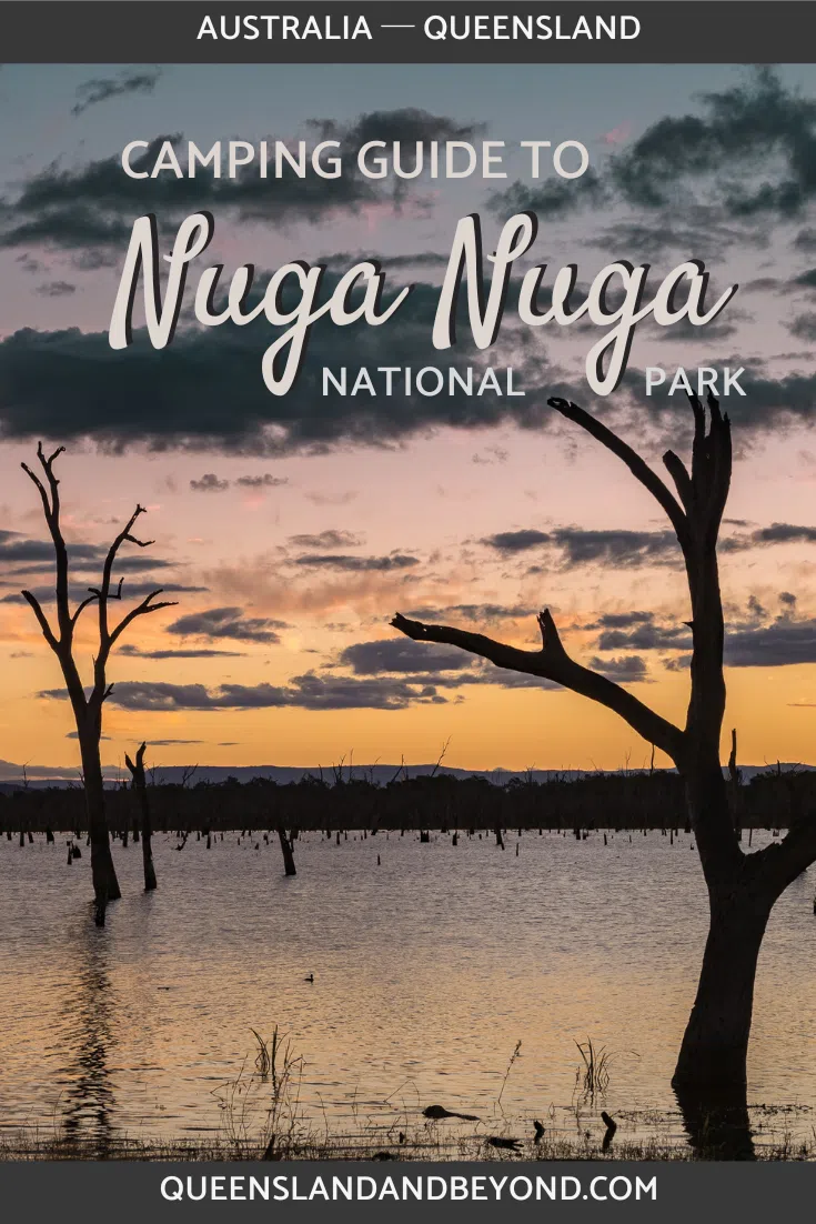 Nuga Nuga National Park is a little know national park in Central Queenland. It's quiet, peaceful and a birdwatcher's paradise.