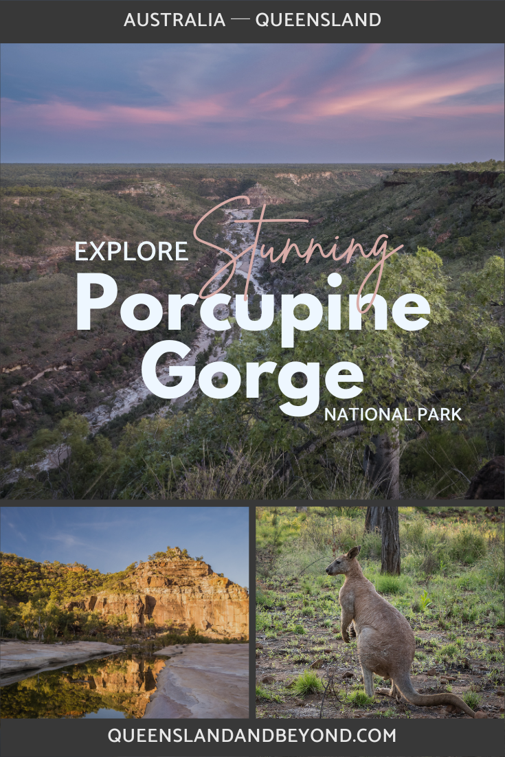 Porcupine Gorge National Park in north-central Queensland offers a beautiful, rugged gorge, rockpools and a couple of short hikes. Find out what you need to know.