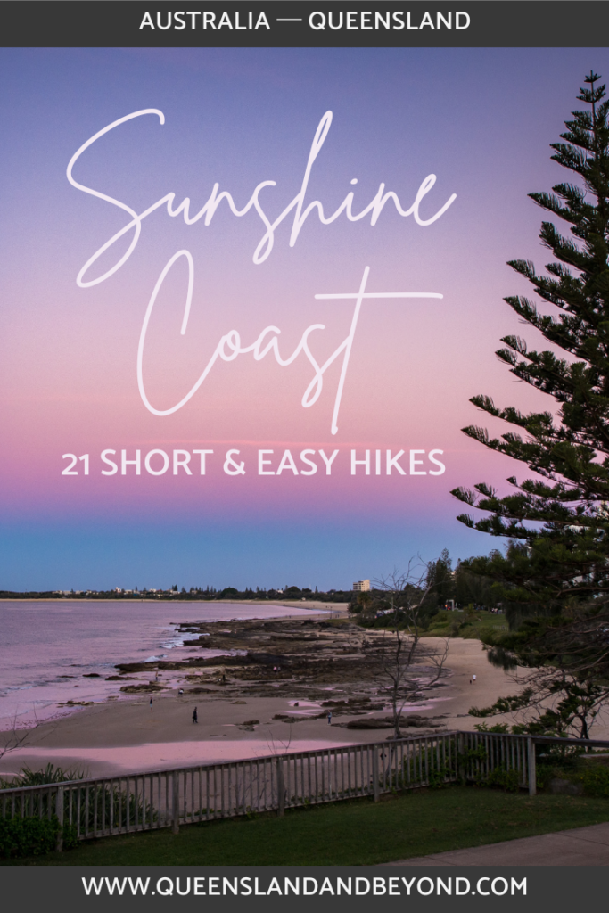 The Sunshine Coast offers a lot of varied hiking trails. Here's a list of my favourite short walks on the Sunshine Coast, everything from beaches to rainforest.